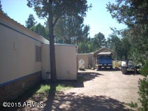 3363 Little Pine Dr, Overgaard, AZ 85933 photo 3