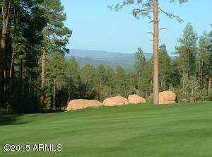 2514 E Pine Island Ln, Payson, AZ 85541 photo 38