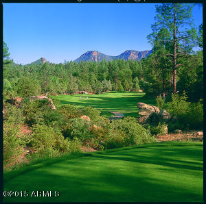 2514 E Pine Island Ln, Payson, AZ 85541 photo 29