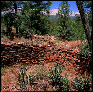 2514 E Pine Island Ln, Payson, AZ 85541 photo 25