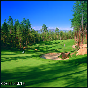 2514 E Pine Island Ln, Payson, AZ 85541 photo 27