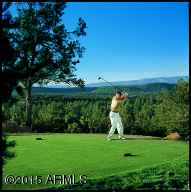 2514 E Pine Island Ln, Payson, AZ 85541 photo 28