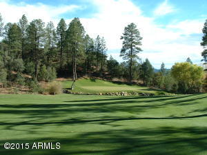 2514 E Pine Island Ln, Payson, AZ 85541 photo 34