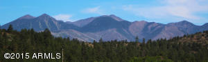 9855 Mesquite Loop, Flagstaff, AZ 86004 photo 14
