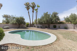 802 E Meadow Ln, Phoenix, AZ 85022 photo 18