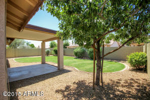 159 W Patrick St, Gilbert, AZ 85233 photo 35