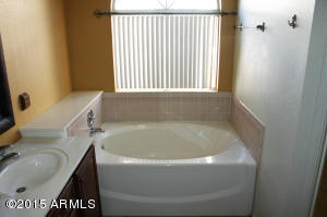 6303 E Quartz St, Mesa, AZ 85215 photo 32