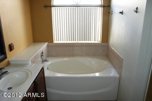 6303 E Quartz St, Mesa, AZ 85215 photo 8