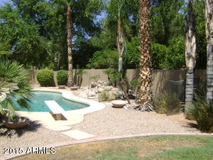 168 E Horseshoe Ave, Gilbert, AZ 85296 photo 16