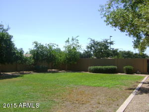 168 E Horseshoe Ave, Gilbert, AZ 85296 photo 10