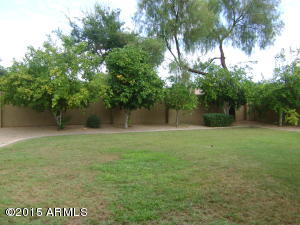 168 E Horseshoe Ave, Gilbert, AZ 85296 photo 3