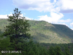 5079 N Trails End Dr, Pine, AZ 85544 photo 30