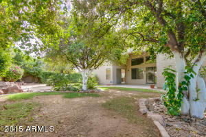 4334 Enrose St, Mesa, AZ 85205 photo 44