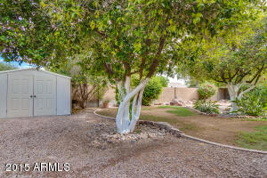 4334 Enrose St, Mesa, AZ 85205 photo 45