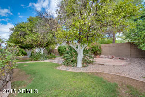 4334 Enrose St, Mesa, AZ 85205 photo 41
