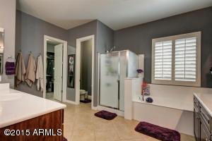 3146 E Kingbird Ct, Gilbert, AZ 85297 photo 49