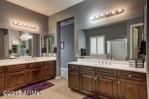 3146 E Kingbird Ct, Gilbert, AZ 85297 photo 47