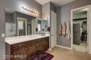 3146 E Kingbird Ct, Gilbert, AZ 85297 photo 46