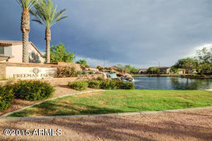 2442 Eleana Ln, Gilbert, AZ 85298 photo 48