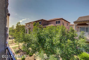 3648 Edna Dr, Gilbert, AZ 85296 photo 24