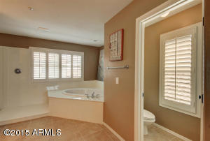 3648 Edna Dr, Gilbert, AZ 85296 photo 30