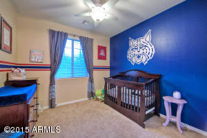 3822 E Matthew Dr, Phoenix, AZ 85050 photo 20