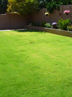 1079 E Windsor Dr, Gilbert, AZ 85296 photo 25