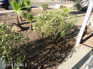 3621 E Blanche Dr, Phoenix, AZ 85032 photo 6