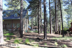 4376 Canyon Loop, Flagstaff, AZ 86005 photo 43