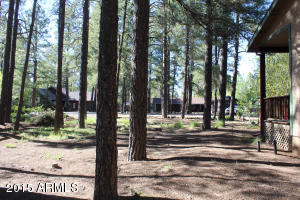 4376 Canyon Loop, Flagstaff, AZ 86005 photo 37