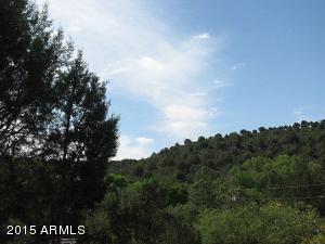 156 E Paul Dr, Payson, AZ 85541 photo 32