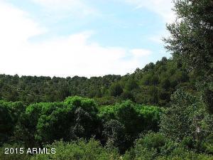 156 E Paul Dr, Payson, AZ 85541 photo 33