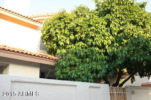 5808 E Brown Rd #122, Mesa, AZ 85205 photo 30