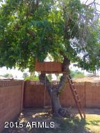 3347 W Montecito Ave, Phoenix, AZ 85017 photo 15