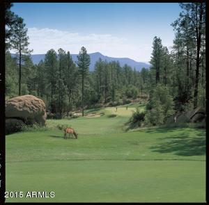 2312 E Feather Plume Ln, Payson, AZ 85541 photo 32