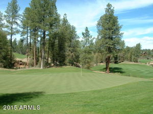 2312 E Feather Plume Ln, Payson, AZ 85541 photo 26