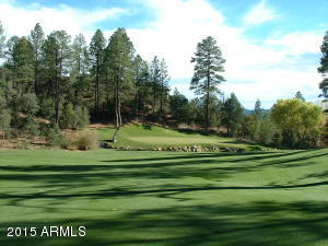 2312 E Feather Plume Ln, Payson, AZ 85541 photo 25