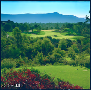 2312 E Feather Plume Ln, Payson, AZ 85541 photo 27