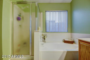 813 E Sack Dr, Phoenix, AZ 85024 photo 19