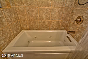 3010 E Kerry Ln, Phoenix, AZ 85050 photo 17