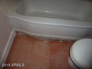 11212 E 6th Ave, Apache Junction, AZ 85120 photo 35