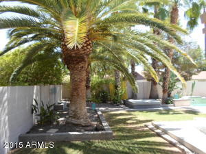 1349 E Todd Dr, Tempe, AZ 85283 photo 20