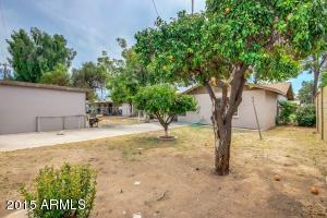 437 N Ash --, Mesa, AZ 85201 photo 25