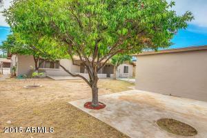 437 N Ash --, Mesa, AZ 85201 photo 27