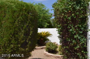 1113 E Villa Rita Dr, Phoenix, AZ 85022 photo 15