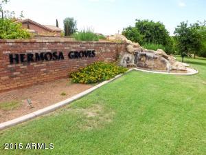 3555 E Mallory Cir, Mesa, AZ 85213 photo 63