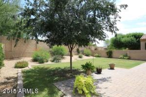 3922 E Daley Ln, Phoenix, AZ 85050 photo 4