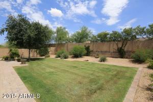 3922 E Daley Ln, Phoenix, AZ 85050 photo 31