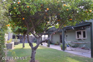 2349 E Becker Ln, Phoenix, AZ 85028 photo 56