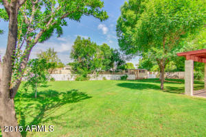 1002 N Barkley Dr, Mesa, AZ 85203 photo 48